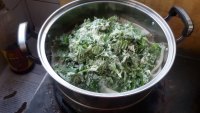 诱人的蒸芹菜叶做法图解4)