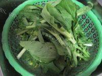 好吃不腻的清炒白菜苔做法图解1)