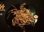 美味的金针冬菇焖肉丝做法图解1)