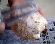 美味营养牛腩煲芋头做法图解3)