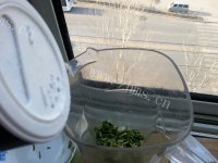 脆嫩可口的香椿酱做法图解8)