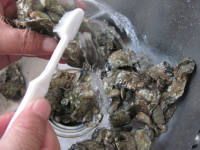 鲜美牡蛎豆腐做法图解1)
