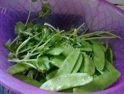 美味的荷兰豆炒鲜鱿做法图解2)
