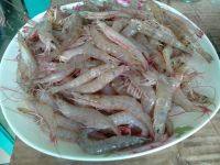 美味的白灼海虾做法图解1)