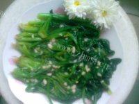 诱人的上汤菠菜做法图解12)