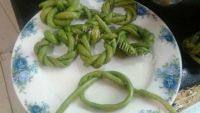 最爱吃泡菜汁蒸酿豆角做法图解2)