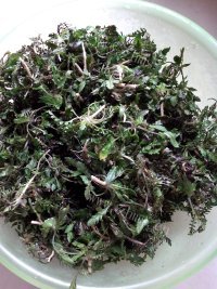 美味的荠菜饺子做法图解3)