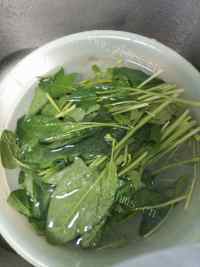 热腾腾的清炒菠菜做法图解2)