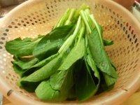 易做的白灼菜心做法图解1)