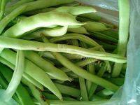 家常菜肉末四季豆做法图解1)
