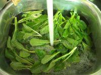 极致的盐水菜心做法图解2)