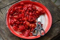特别下饭的辣椒豆做法图解6)