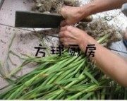 美味的腌蒜做法图解2)