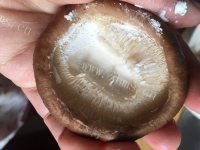 喷香的香菇酿肉做法图解3)