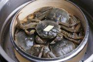 「健康美食」清蒸大闸蟹做法图解4)