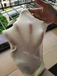 自制椰蓉吐司做法图解5)