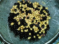 美味的薏米黑黄豆浆做法图解2)