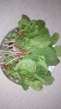 好吃的鸡毛菜肉包做法图解1)