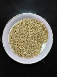 麦香牛肉做法图解3)