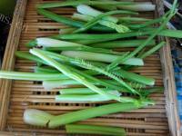 诱人的芹菜包子做法图解1)