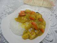 色香味俱全的咖喱鸡肉饭
