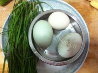 色味俱佳的韭菜炒鸭蛋做法图解1)