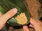闽南肉粽做法图解6)