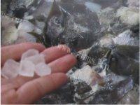 味道不错的海带烧肉做法图解8)