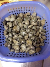 诱人的辣炒花蛤做法图解4)