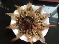 美味花开富贵虾做法图解7)