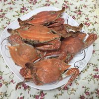 鲜美可口的水煮螃蟹做法图解5)
