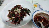 百吃不厌的凉拌鱼腥草做法图解7)