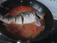 常吃不腻的番茄炖鱼的做法图解十一