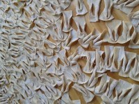 美味炸翻饺做法图解1)