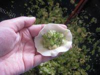 「家有大厨」西葫芦鸡蛋饺子做法图解10)