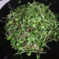 家常菜黑豆苗炒肉丝做法图解6)
