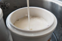 好吃的枸杞牛奶炖花胶的做法图解七