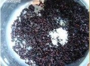 黑糯米粽子做法图解4)
