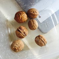 好喝的核桃花生猪尾汤做法图解6)