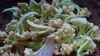 家常菜腊肉炒花菜做法图解2)