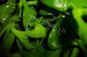 炝拌穿心莲做法图解2)