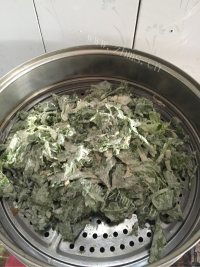 回味无穷的蒸芹菜叶做法图解5)