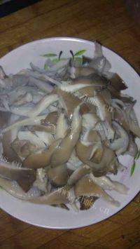 家常菜平菇炒肉做法图解2)
