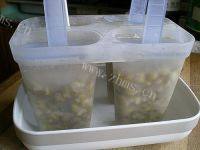 简简单单绿豆冰棍做法图解5)