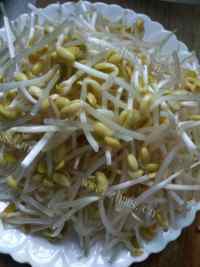 家常菜清炒黄豆芽做法图解1)