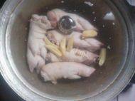下酒菜猪蹄冻做法图解3)