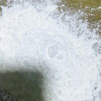 美味的香煎小黄鱼做法图解5)