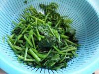 色泽鲜亮的菠菜粉丝做法图解3)