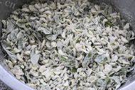 美味的蒸槐花做法图解3)