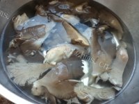 家常菜白菜炒平菇做法图解2)